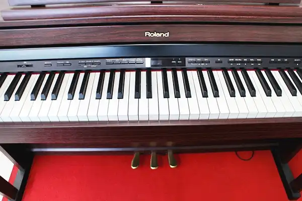 hp505-3